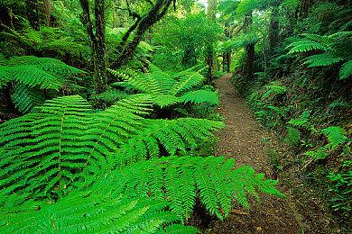 Cygames发布《碧蓝幻想：Relink》内容更新预告