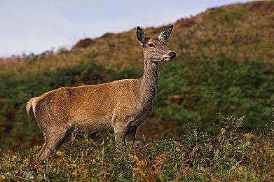 恐怖射击游戏《量子误差》官方实机预告